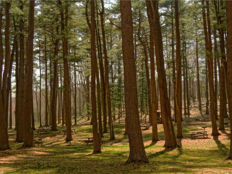 sudoku critical thinking